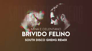 Mina e Celentano  Brivido felino South Disco Gheng Remix [upl. by Elle]