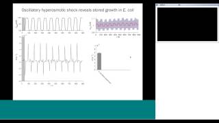 Webinar For Whom the Cell Tolls Response of Bacterial Growth to Osmotic Shock [upl. by Maritsa]