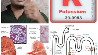 Diuretic TypesMechanismNephronKidneyBangali Doctorclinical Pharmacologist [upl. by Langley]