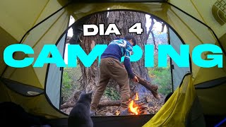 CAMPING con MICHI creando MUSICA en el bosque  DIA 47 [upl. by Nottage716]