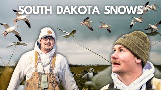 SNOW GOOSE HUNT 2024 in South Dakota [upl. by Hibbs]