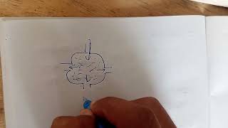 Fluid mechanics class 11 physics Hindi medium [upl. by Aiciram]