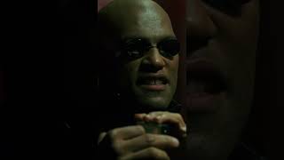 Morpheus Warns Neo About the Matrix Sequels [upl. by Griffiths]