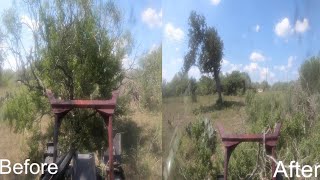 Disc mulcher Virnig v70 destroying some south Texas mesquite and huisache ￼￼trees [upl. by Idolem259]