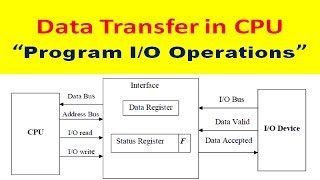 What is Programmed IO Operations in Computer Architecture  Data Transfer in CPU [upl. by Iruam]