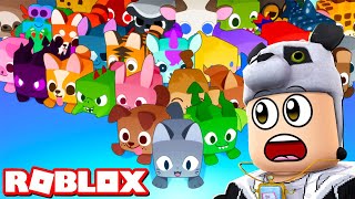 İlk Defa Pet Simulator 99 Oynadım   Roblox [upl. by Leotie]