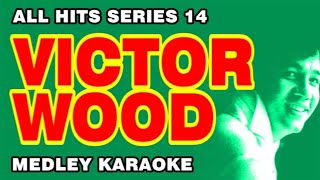 VICTOR WOOD  All Hits Series 14 MEDLEY KARAOKE Fraulein A Tear Fell Greenfields amp More [upl. by Sedda]