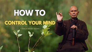 How To Control Your Mind  Zen Master Thich Nhat Hanh [upl. by Amaral]