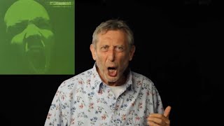 Limp Bizkit Albums Described By Michael Rosen [upl. by Klemens]