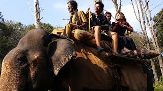 Elephant Ride at Topslip near Parambikkulam [upl. by Giacomo]