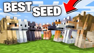 The PERFECT Seed For Minecraft 121 All New Wolf Variants at Spawn [upl. by Udela857]