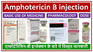 Amphotericin B injection Basic use Dose side effectएम्फोटेरिसिनबी इन्जेक्शन के बारे में जानकारी [upl. by Troxell822]