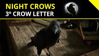 Night Crows Crow Letter Tokenomics and the NFT Game Future in 2024 [upl. by Fernald]