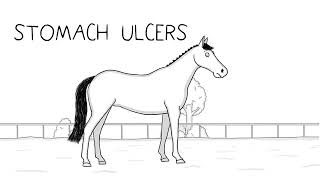 How to prevent stomach ulcers [upl. by Osgood]