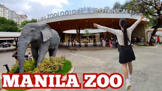 MANILA ZOO 2024 PART 1 [upl. by Analim]