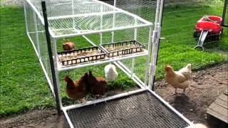 Chicken Tractor [upl. by Pliske73]