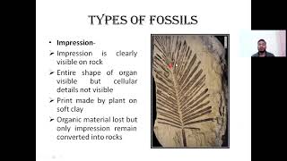 Process of Plant Fossilization and Types of Fossils Unit I Paleobotany BSc Semester II SGBAU [upl. by Gleason133]