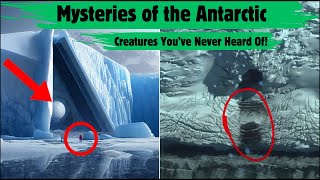 Mysteries of the Antarctic Creatures You’ve Never Heard Of l Chronicle Tv l [upl. by Aeriel370]