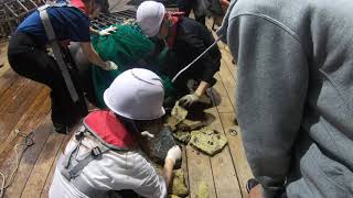 EpiBenthic Dredge Sampling [upl. by Johathan]