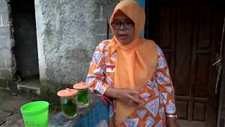 CARA SEDUH BINAHONG  sambungan NENEK UMUR 107 thn rutin konsumsi binahong [upl. by Hallette]