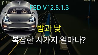 복잡한 시내주행 주야간 얼마나 잘하나  테슬라 자율주행 Tesla FSD v12513 미국 [upl. by Nnyrb538]