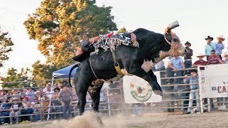 PURAS MONTAS PERRONAS EN ESTE JARIPEO rancho el capricho en ceres california [upl. by Elttil342]