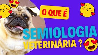 O que é Semiologia Veterinária [upl. by Marylin]