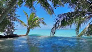 🌴 Ocean Ambience on a Tropical Island Maldives with Soothing Waves amp Paradise View for Relaxation [upl. by Murrah]