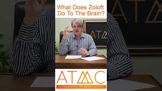 What Does Zoloft Do To The Brain [upl. by Adorne770]