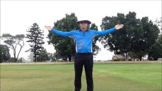 Cricket Umpire Signals  HD [upl. by Eimilb74]