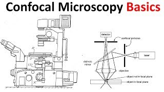 Confocal microscopy Basics [upl. by Ahtivak]