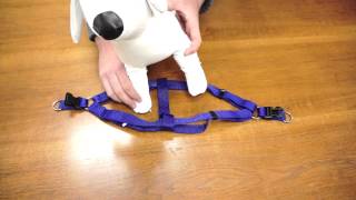 PetChampion  Step in Harness How To [upl. by Erwin]