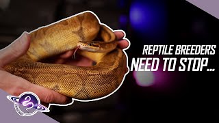 Overcoming WEAKNESS as a Reptile Breeder  ballpython snake reptiles [upl. by Nessej]