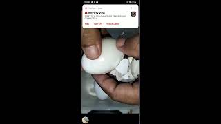 Aiby Gomez vlog is live WHITE DUCK EGG CRACKING PEELING YUMMY trending viralvideo [upl. by Hedveh161]