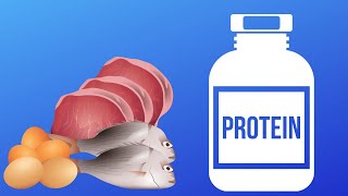 NUTRIÇÃO BÁSICA  DIGESTÃO E ABSORÇÃO DE PROTEÍNAS [upl. by Spiers]