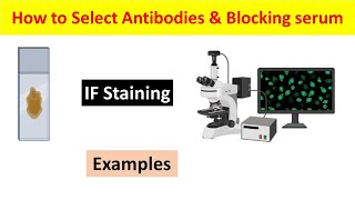 Immunofluorescence IF Staining Choosing Primary Antibody Secondary Antibody and Blocking Serum [upl. by Swinton]