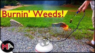 Burning Weeds with a Propane Torch [upl. by Boycie436]