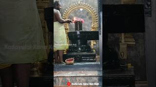 Ramanatha swamy iyypasi pournami sirappu abishekam namakkalRpPuthuromnamahshivayashivshivaom [upl. by Adriaens]