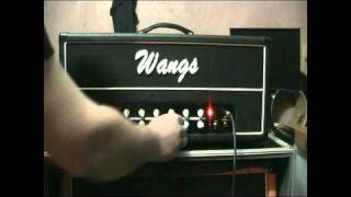 WANGS ALL TUBE AMP VT 50H [upl. by Glory]