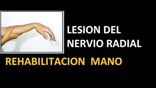 Lesión de Nervio Radial  Terapia en casa [upl. by Nhguahs]