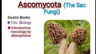 Ascomycota the sac fungi introductory mycology fungi [upl. by Eiba]