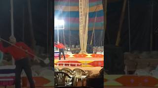 Apollo Circus 4🎪🃏 funny shorts youtube video circus circuslife circustime [upl. by Shrier213]