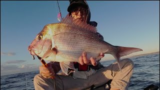 Superb Sydney Snapper  Ocean Kayak Fishing [upl. by Ruhtra]