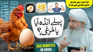 Pehlay Anda Aya Ya Murghi  Anda Khane Ke Faiday  Egg Benefits in Urdu  Haji Shahid Attari [upl. by Rehpotsyrk]