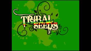 Tribal Seeds  Warrior [upl. by Aivatnuhs]