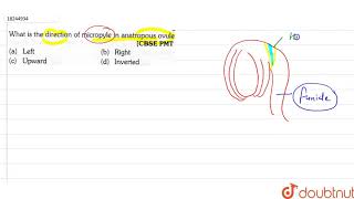 What is the direction of micropyle in anatropous ovule [upl. by Zolly]