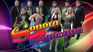 Sonora Tropicana Mix Cumbias 2020 [upl. by Eanom]