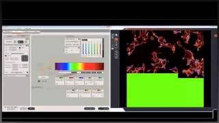 Basics of confocal laser scanning microscopy [upl. by Anil628]