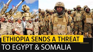 Egypt and Somalia are Teaming Up Against Ethiopia [upl. by Anauqat]