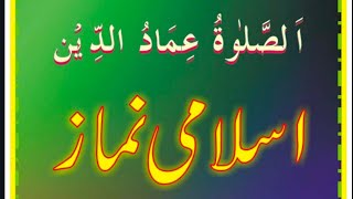 Shia Namaz ka tarika  شیعہ نماز کا طریقہ [upl. by Carlin]